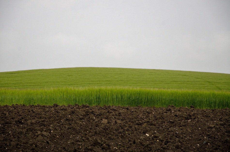 Green Field Sky And Field