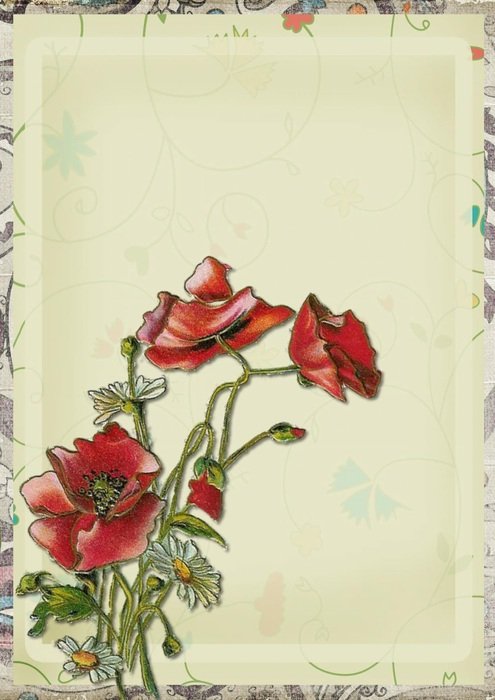 Vintage Background Red Lace