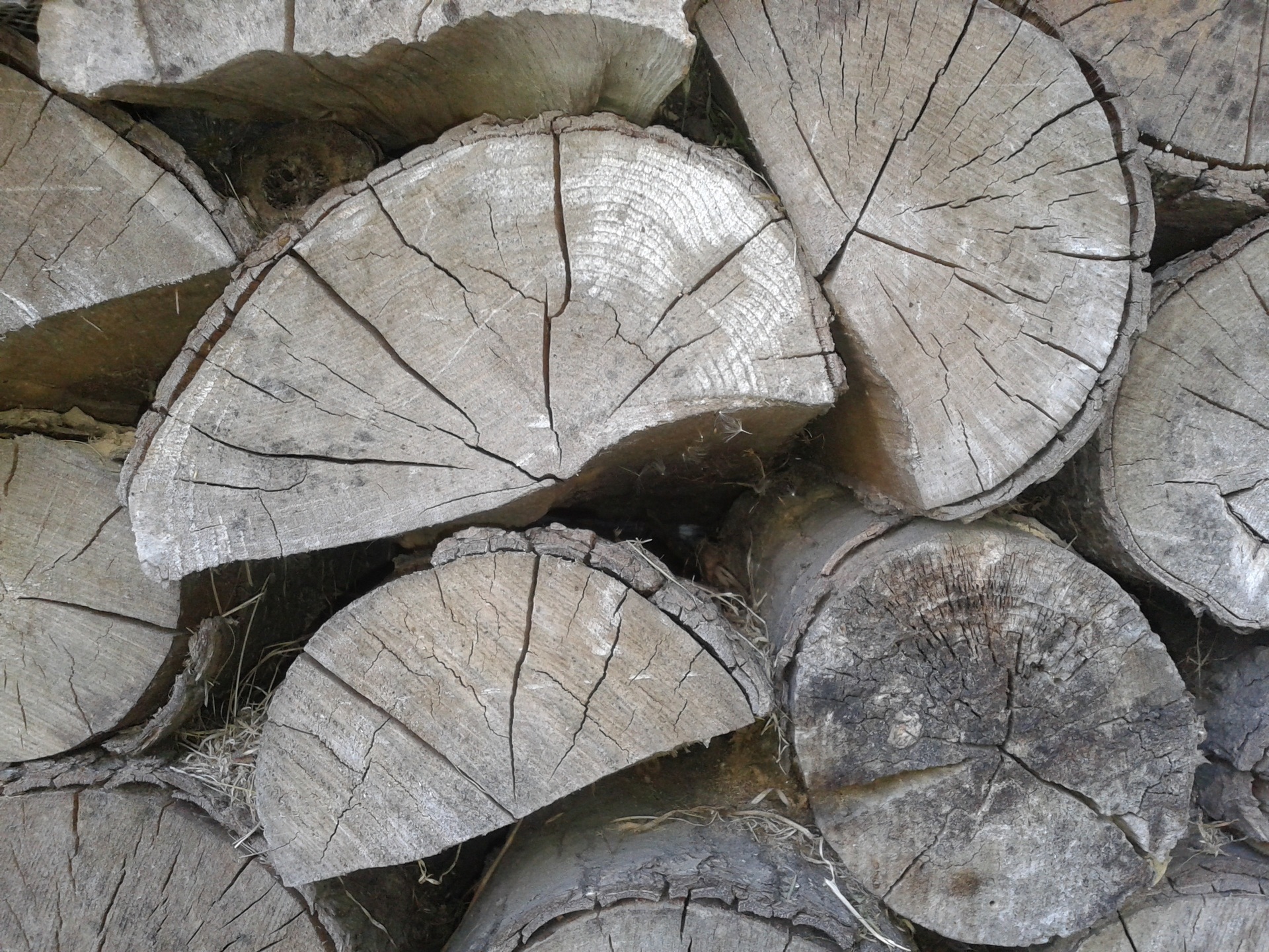 Wood Wooden Logs Logs free image download