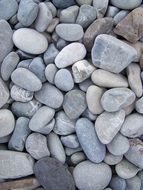 Pebbles Beach Pebble Beach Stone