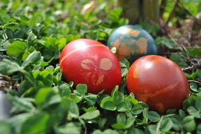 Egg Easter Egg Easter Spring