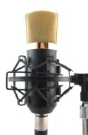 Mic Transparent Microphone