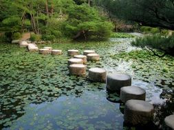 Japanese Garden Kyoto Japan