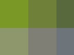 grey green checkered background