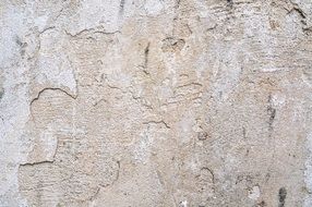 Texture Wall White Plaster