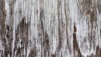 wallpaper with wood weathered surface