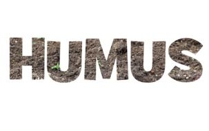 Humus Font Lettering Dirt Earth