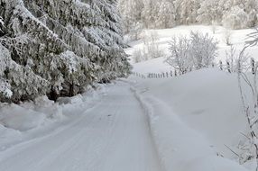 winter road in the mountains near the trees