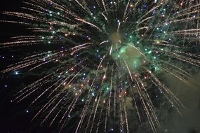 beautiful firework in the night sky