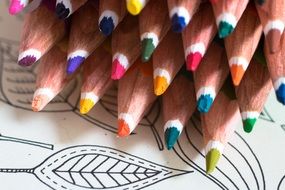 tinted color pencils on a sheet