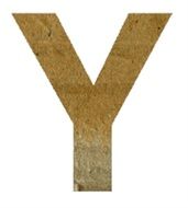 Y Alphabet Letter Text
