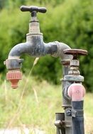 wallpaper with outdoor faucet