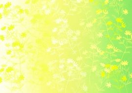 The Background Spring Flowers