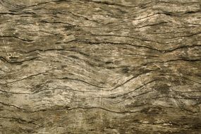 Texture Horizontal Wood Rustic