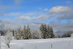 winter landscape under a blue sky with clouds