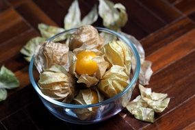 sweet physalis berries in the bowl