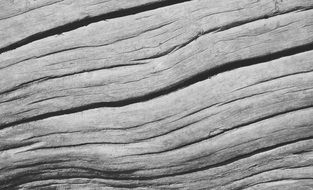 wood texture cracks as background