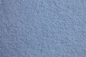 Nature Macro Photography Texture