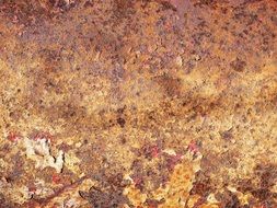 rusty metal peeled surface