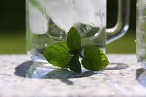 Mint Glass Drink Summer Liquid