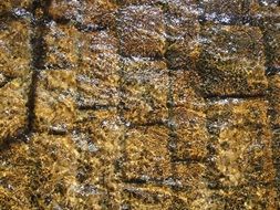 Water Texture Wallpaper Light