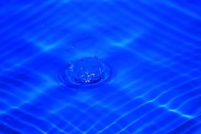 Figure Wave Water Leave