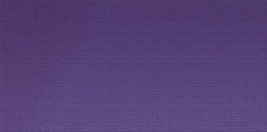 purple background with a fine texture