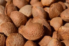 almond nuts closeup