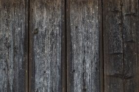 Wood Texture Structure Wall Old
