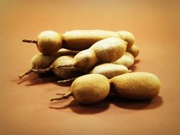 tamarind on brown background