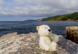 teddy bear on the rock at the shore
