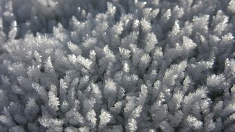 closeup of ice crystals