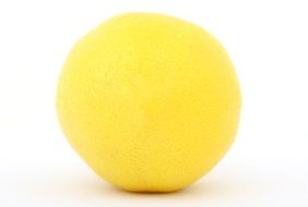 yellow bitter lemon