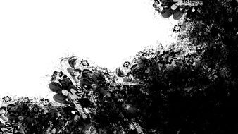 white background with black flowers