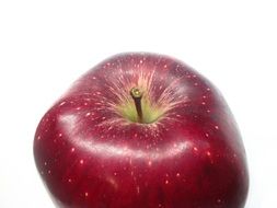 red apple on a white background