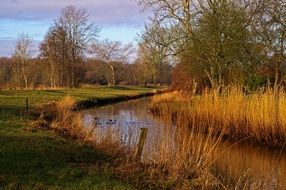 idyllic landscape in spring