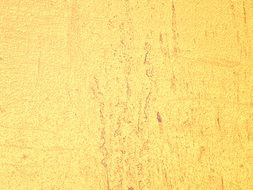 Yellow Grain Texture