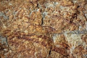 Stone Texture Structure