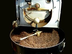 coffee beans on costa rica