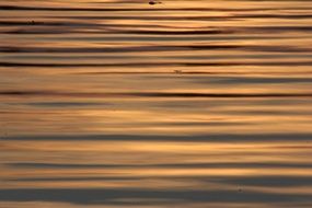 Water Sunset Structure Evening