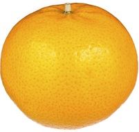 Orange Fruit Fresh
