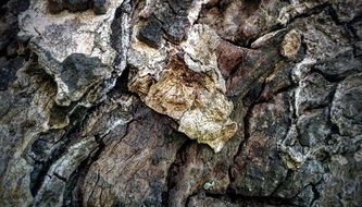wallpaper with old wood structure