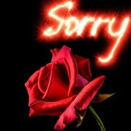 red rose with the inscription on a black background