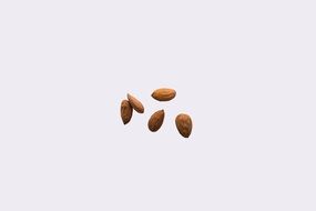 Almond Nuts Kernel Grain