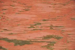 Background Peach Color Texture
