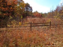 autumn trees near a wooden fence in beautiful and colorful nature