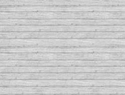 White Wood Wood Texture
