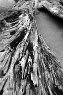 Old Wood Texture Vintage Wood