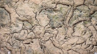 background of cracked soil