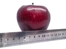 red apple and scale